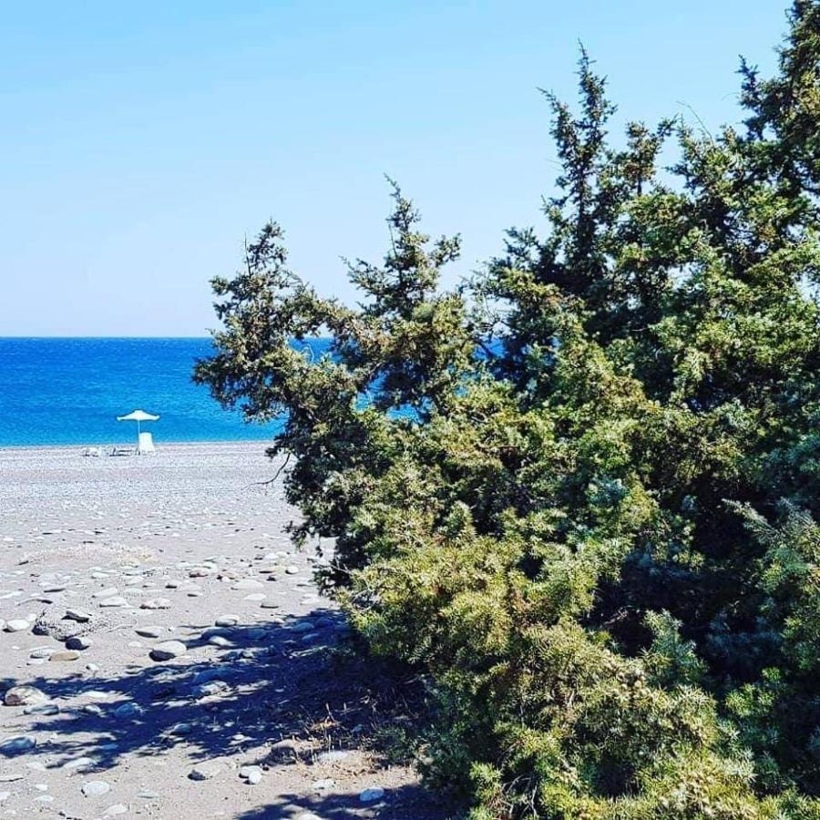 Cedrus And Sea, Beachfront House, Gennadi, Rhodes Luaran gambar